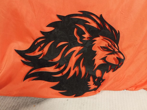 Mural pared cabeza de leon