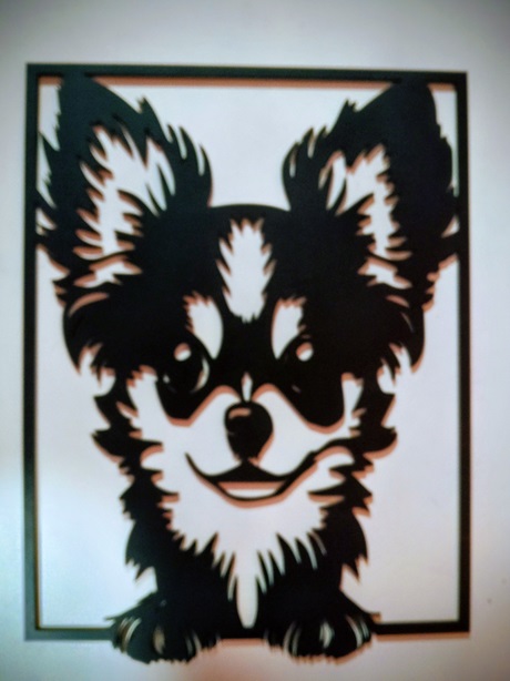 Mural pared Chiguagua 2